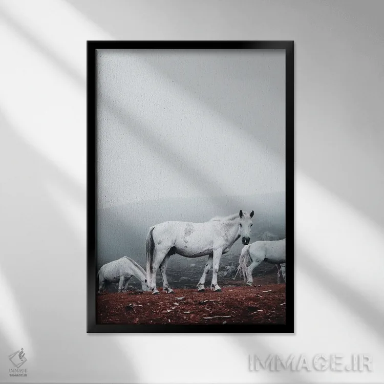 تابلو دکوراتیو اسب های سفید وحشی اثر کارن منداو - نمای قابدار مشکی
