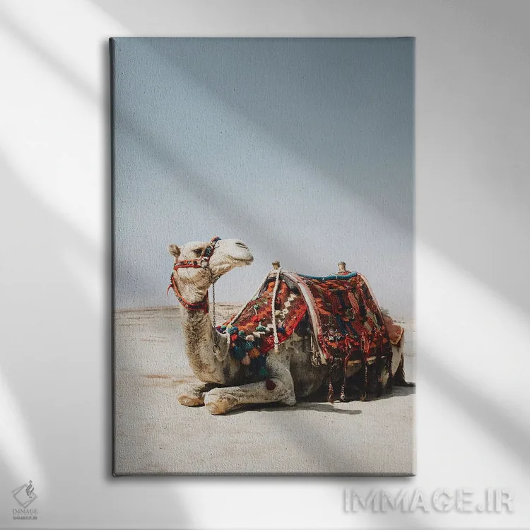 تابلو دکوراتیو شتر سفید اثر کارن منداو - نمای روبهرو روی دیوار