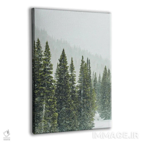 تابلو دکوراتیو پانورامای جنگل زمستانی I اثر کارن منداو - نمای پرسپکتیو محصول