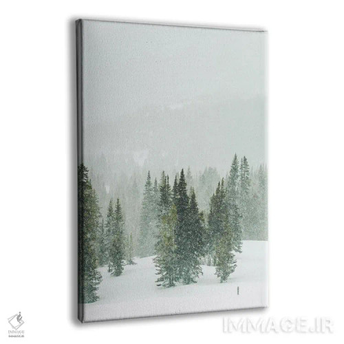 تابلو دکوراتیو پانورامای جنگل زمستانی II اثر کارن منداو - نمای پرسپکتیو محصول