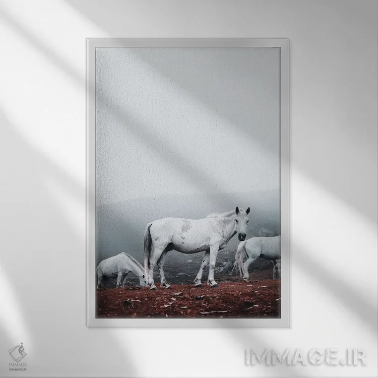 تابلو دکوراتیو اسب های سفید وحشی اثر کارن منداو - نمای قابدار سفید