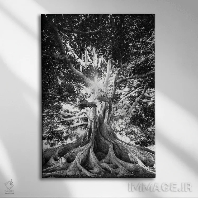 تابلو دکوراتیو درخت بزرگ در سیاه و سفید اثر کارن منداو - نمای روبهرو روی دیوار