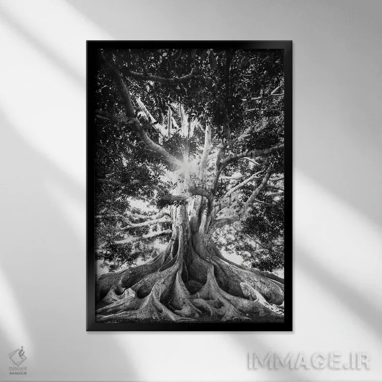 تابلو دکوراتیو درخت بزرگ در سیاه و سفید اثر کارن منداو - نمای قابدار مشکی