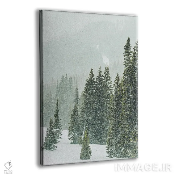 تابلو دکوراتیو پانورامای جنگل زمستانی III اثر کارن منداو - نمای پرسپکتیو محصول