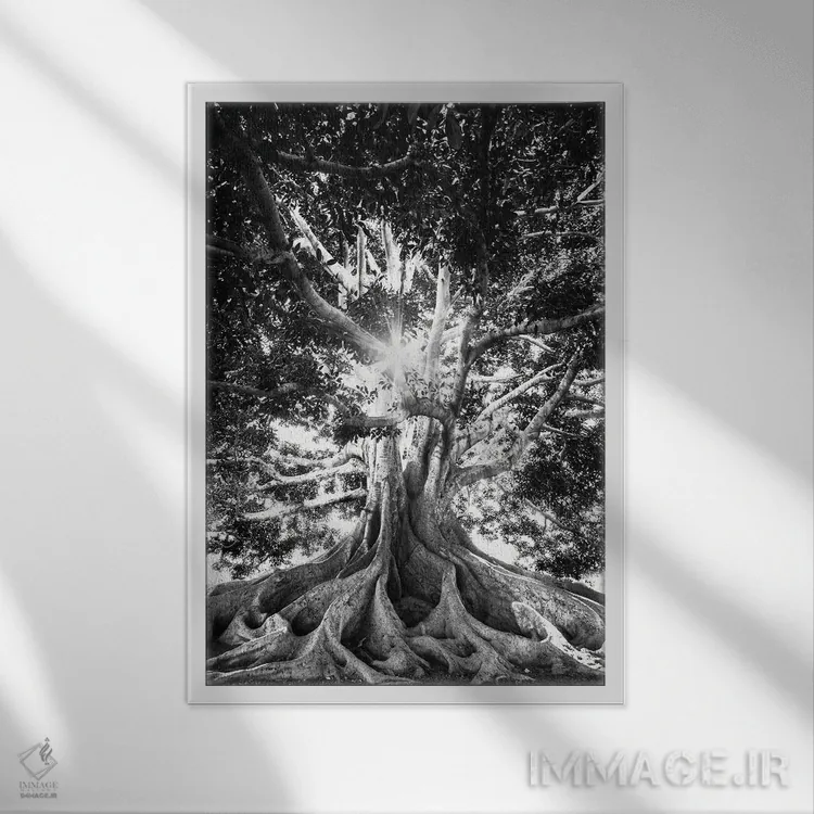 تابلو دکوراتیو درخت بزرگ در سیاه و سفید اثر کارن منداو - نمای قابدار سفید