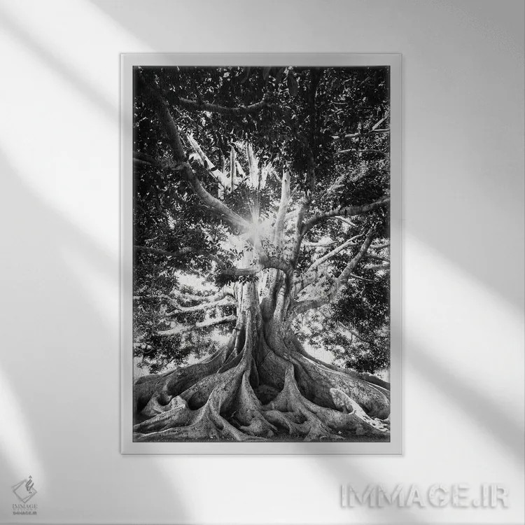 تابلو دکوراتیو درخت بزرگ در سیاه و سفید اثر کارن منداو - نمای قابدار سفید