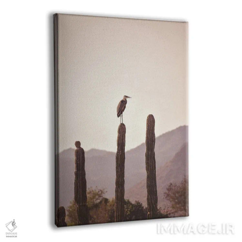 تابلو دکوراتیو پرنده نشسته روی کاکتوس اثر کارن منداو - نمای پرسپکتیو محصول
