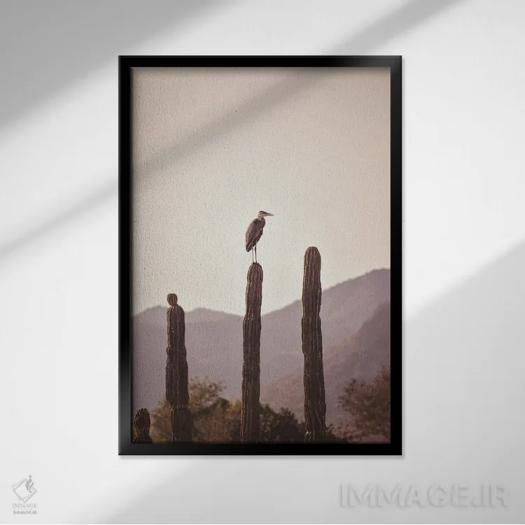 تابلو دکوراتیو پرنده نشسته روی کاکتوس اثر کارن منداو - نمای قابدار مشکی