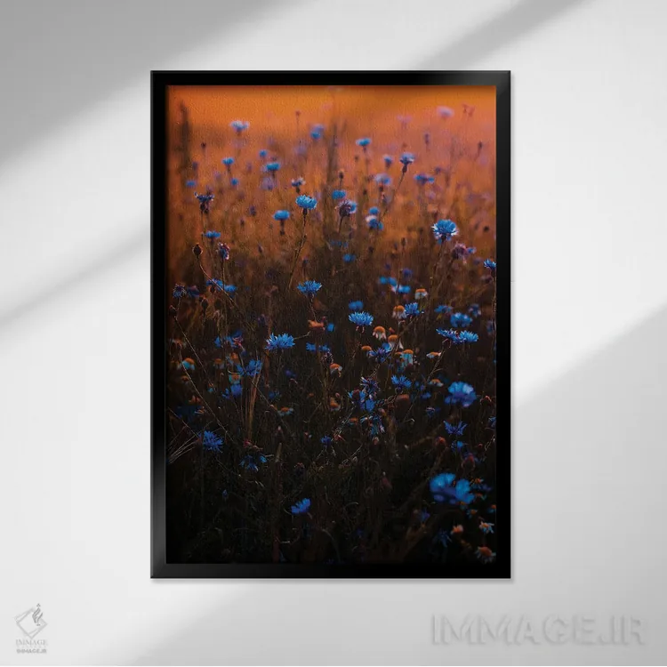 تابلو دکوراتیو مزرعه گل وحشی آبی اثر کارن منداو - نمای قابدار مشکی