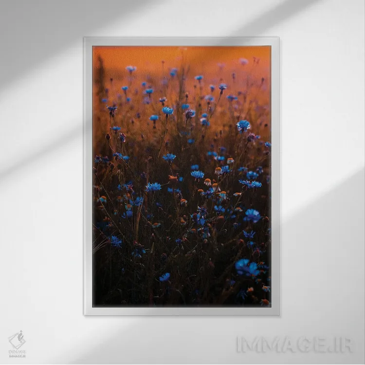 تابلو دکوراتیو مزرعه گل وحشی آبی اثر کارن منداو - نمای قابدار سفید