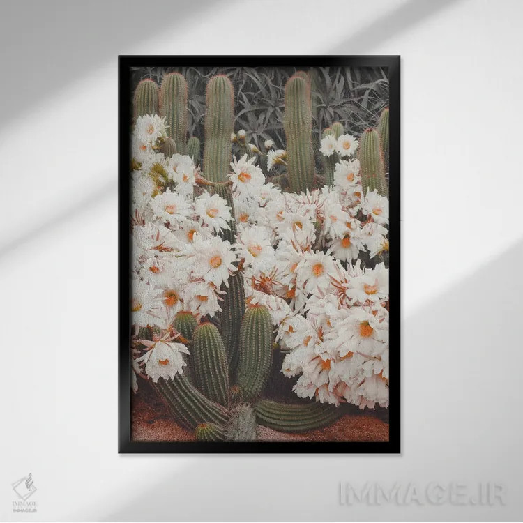 تابلو دکوراتیو کاکتوس های شکوفا اثر کارن منداو - نمای قابدار مشکی