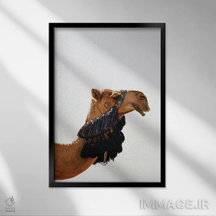 تابلو دکوراتیو شتر تزئین شده اثر کارن منداو - نمای قابدار مشکی