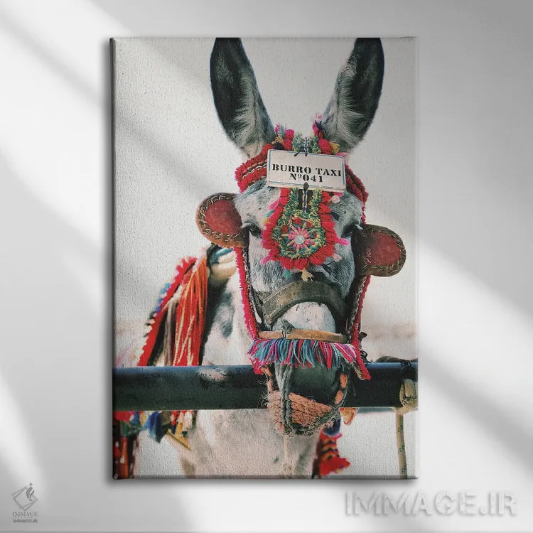 تابلو دکوراتیو الاغ تزئین شده اثر کارن منداو - نمای روبهرو روی دیوار