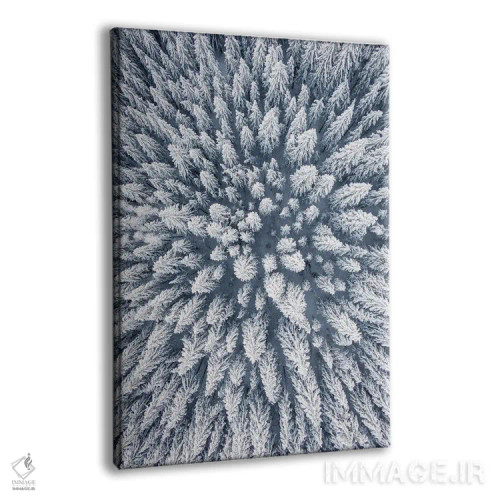 تابلو دکوراتیو عکس هوایی از جنگل کاج زمستانی اثر کارن منداو - نمای پرسپکتیو محصول