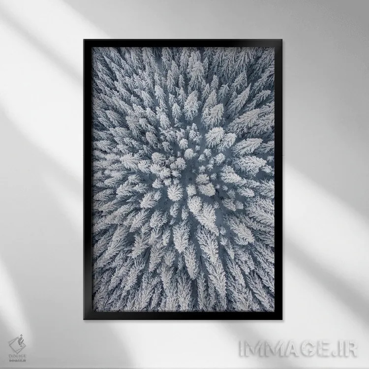 تابلو دکوراتیو عکس هوایی از جنگل کاج زمستانی اثر کارن منداو - نمای قابدار مشکی