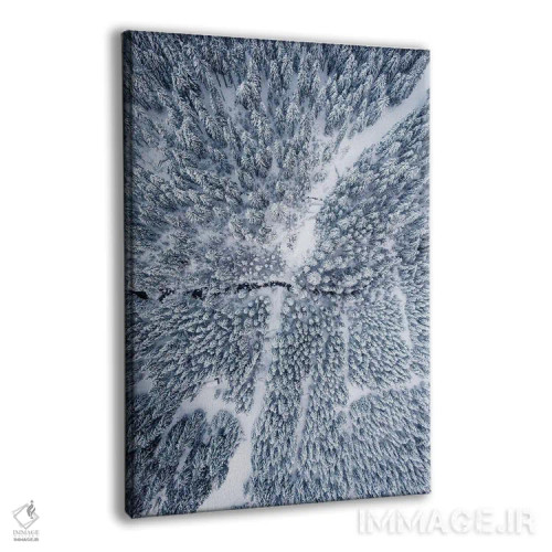 تابلو دکوراتیو عکس هوایی از جنگل زمستانی اثر کارن منداو - نمای پرسپکتیو محصول