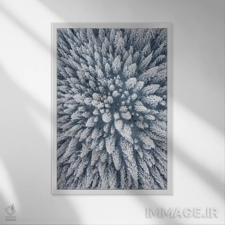 تابلو دکوراتیو عکس هوایی از جنگل کاج زمستانی اثر کارن منداو - نمای قابدار سفید