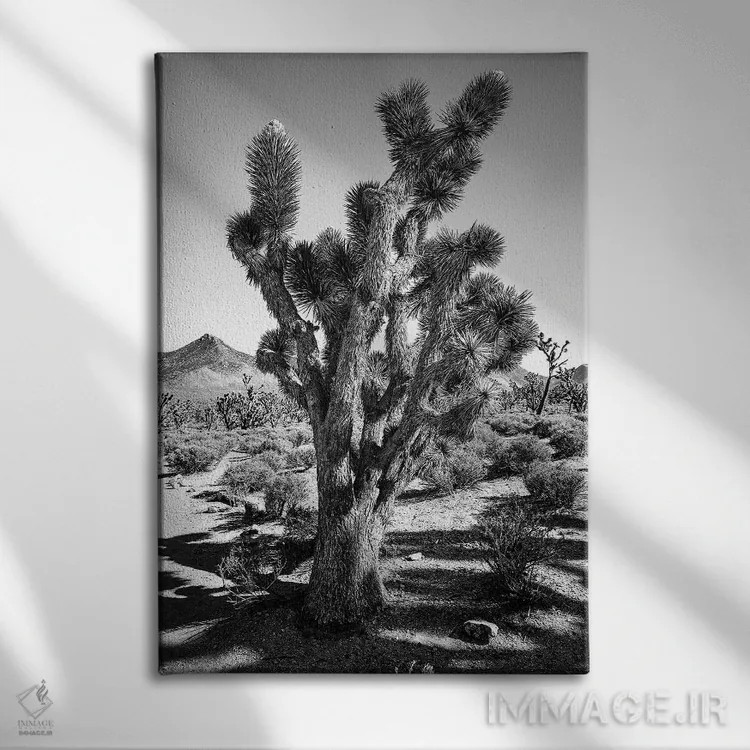 تابلو دکوراتیو درخت جاشوا اثر کارن منداو - نمای روبهرو روی دیوار
