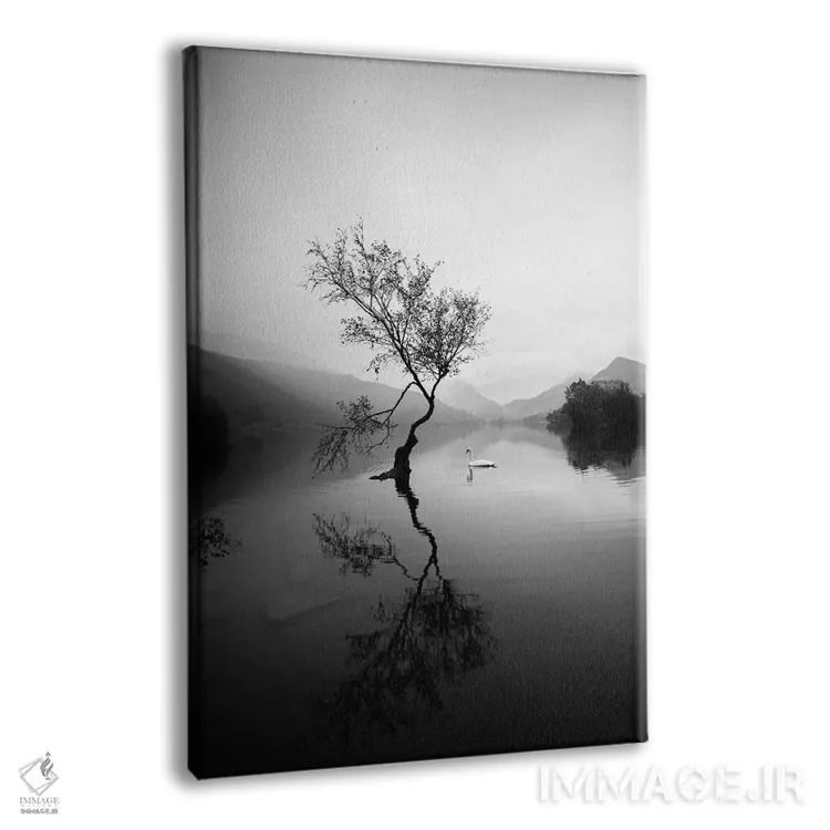 تابلو دکوراتیو درخت تنها در لین پادارن ولز اثر کارن منداو - نمای پرسپکتیو محصول