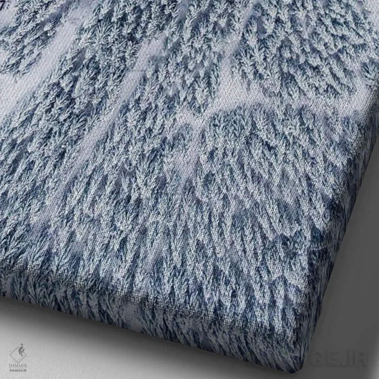 تابلو دکوراتیو عکس هوایی از جنگل زمستانی اثر کارن منداو - نمای نزدیک بافت بوم