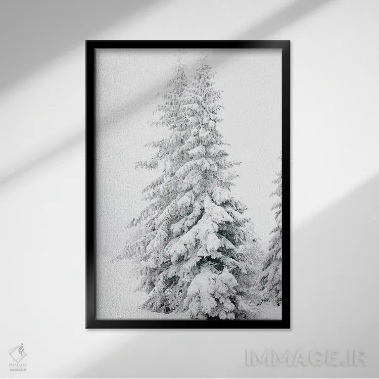 تابلو دکوراتیو درختان کاج کاملا سفید اثر کارن منداو - نمای قابدار مشکی