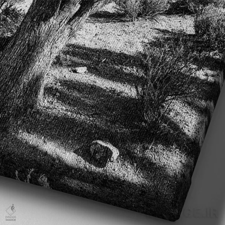 تابلو دکوراتیو درخت جاشوا اثر کارن منداو - نمای نزدیک بافت بوم