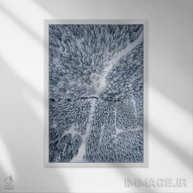 تابلو دکوراتیو عکس هوایی از جنگل زمستانی اثر کارن منداو - نمای قابدار سفید
