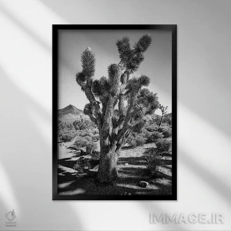 تابلو دکوراتیو درخت جاشوا اثر کارن منداو - نمای قابدار مشکی