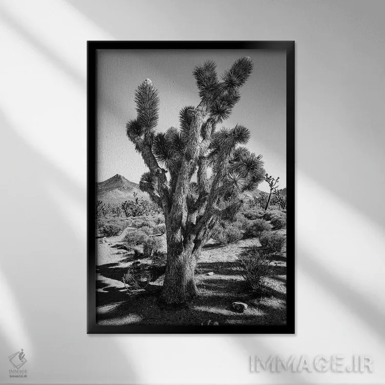 تابلو دکوراتیو درخت جاشوا اثر کارن منداو - نمای قابدار مشکی