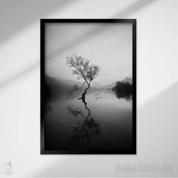 تابلو دکوراتیو درخت تنها در لین پادارن ولز اثر کارن منداو - نمای قابدار مشکی