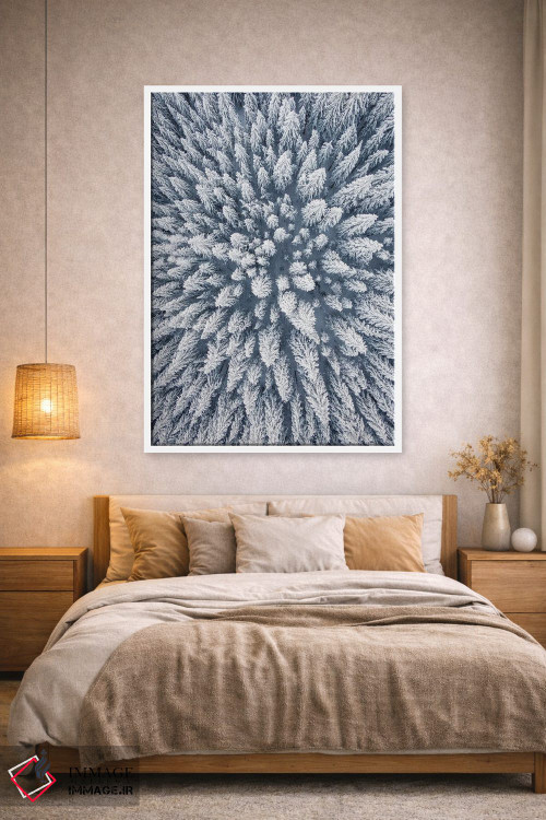 تابلو دکوراتیو عکس هوایی از جنگل کاج زمستانی اثر کارن منداو - D1W