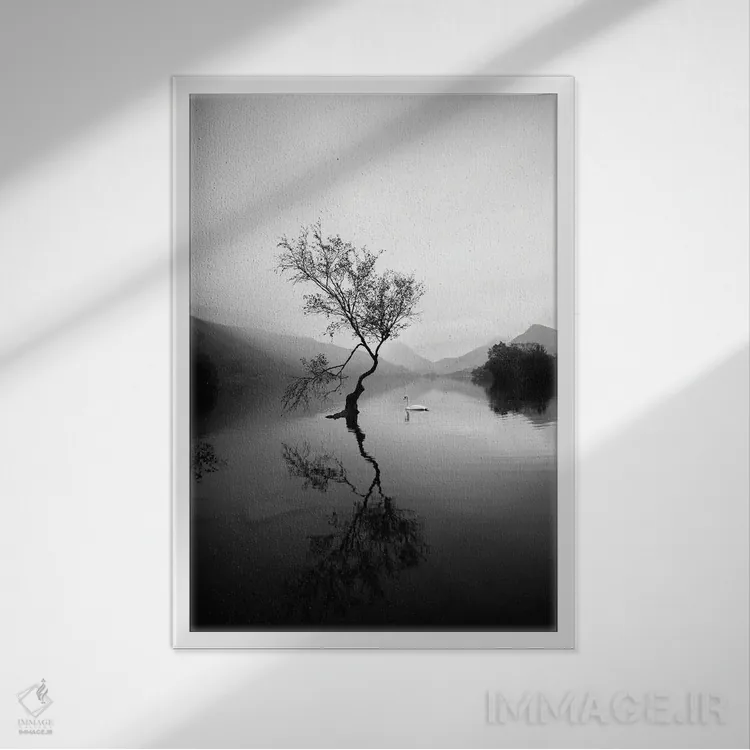 تابلو دکوراتیو درخت تنها در لین پادارن ولز اثر کارن منداو - نمای قابدار سفید