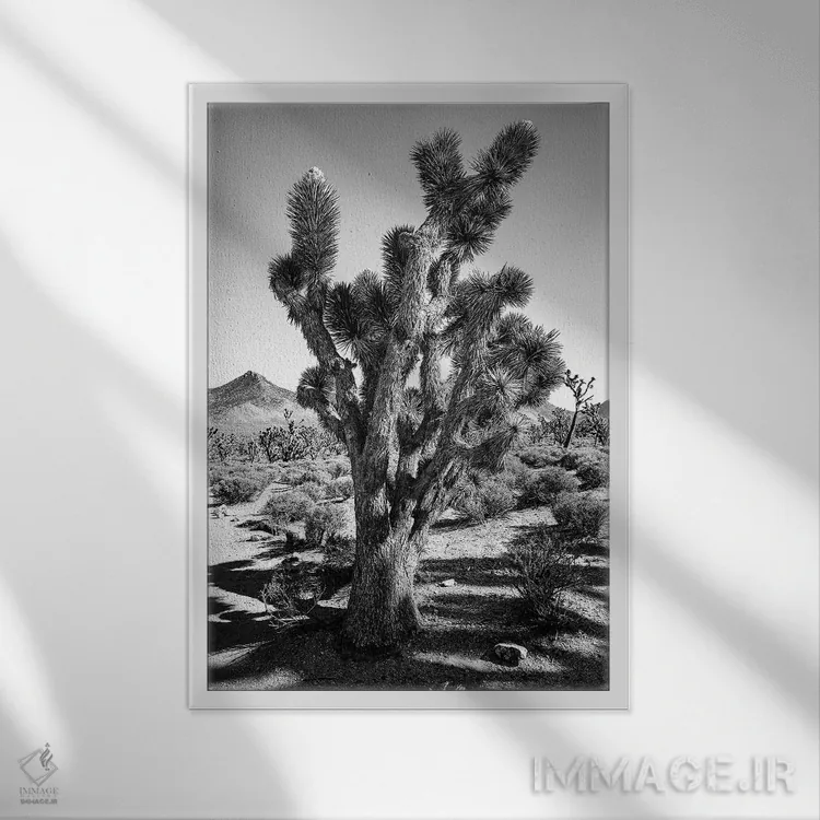 تابلو دکوراتیو درخت جاشوا اثر کارن منداو - نمای قابدار سفید