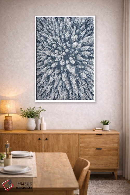 تابلو دکوراتیو عکس هوایی از جنگل کاج زمستانی اثر کارن منداو - D4W