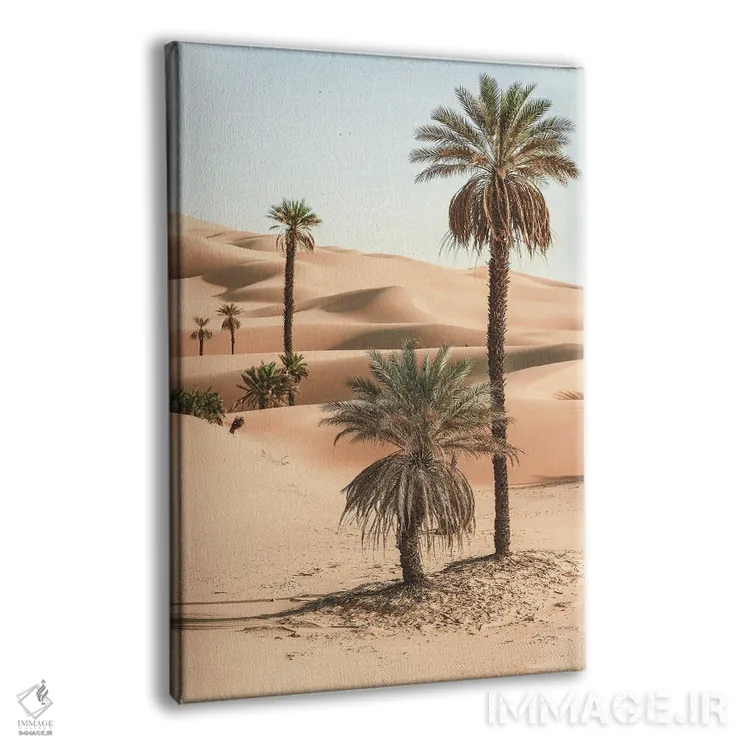 تابلو دکوراتیو نخل ها در بیابان اثر کارن منداو - نمای پرسپکتیو محصول