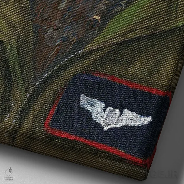 تابلو مدرن خرس خلبان ۲ اثر کندون کریشنز - نمای نزدیک بافت بوم