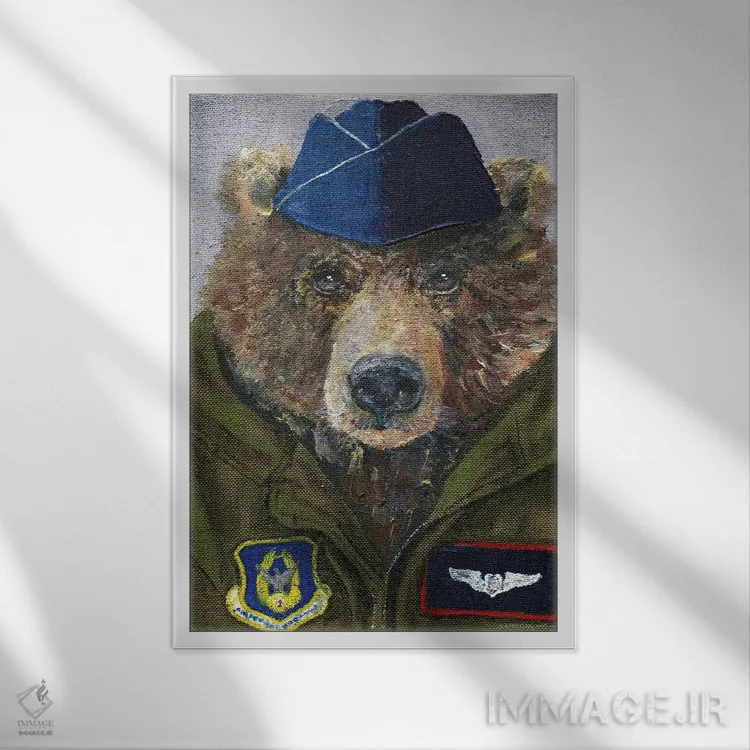 تابلو مدرن خرس خلبان ۲ اثر کندون کریشنز - نمای قابدار سفید