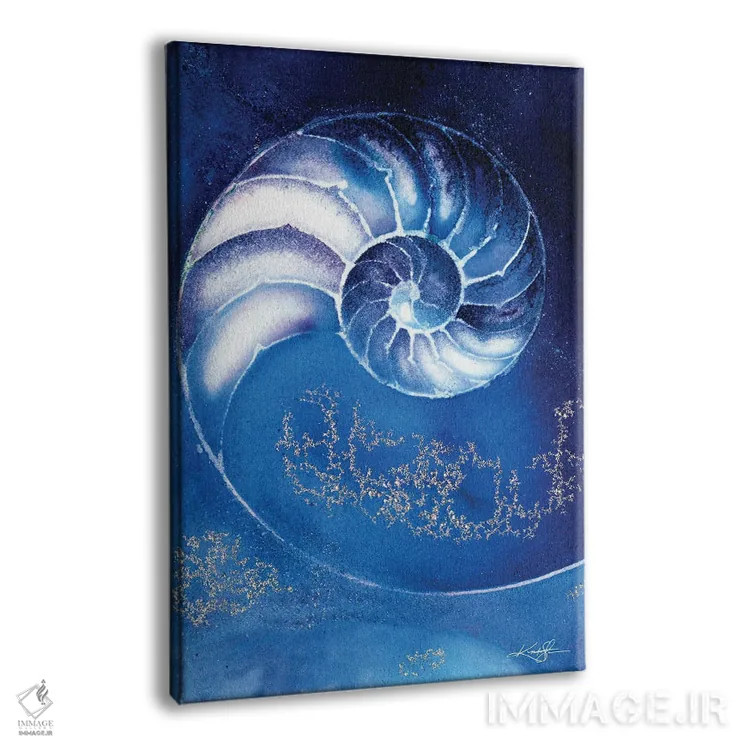 تابلو دکوراتیو صدف ناتیلوس IIIA اثر کتی مورتون استنیون - نمای پرسپکتیو محصول