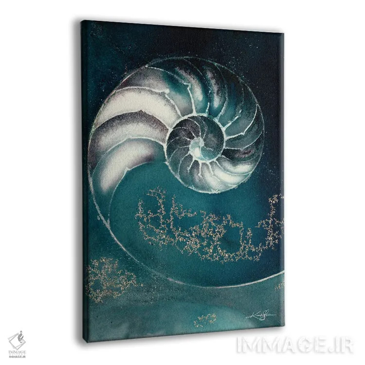 تابلو دکوراتیو صدف ناتیلوس IIIC اثر کتی مورتون استنیون - نمای پرسپکتیو محصول