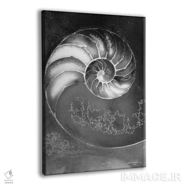 تابلو دکوراتیو صدف ناتیلوس IIIB اثر کتی مورتون استنیون - نمای پرسپکتیو محصول