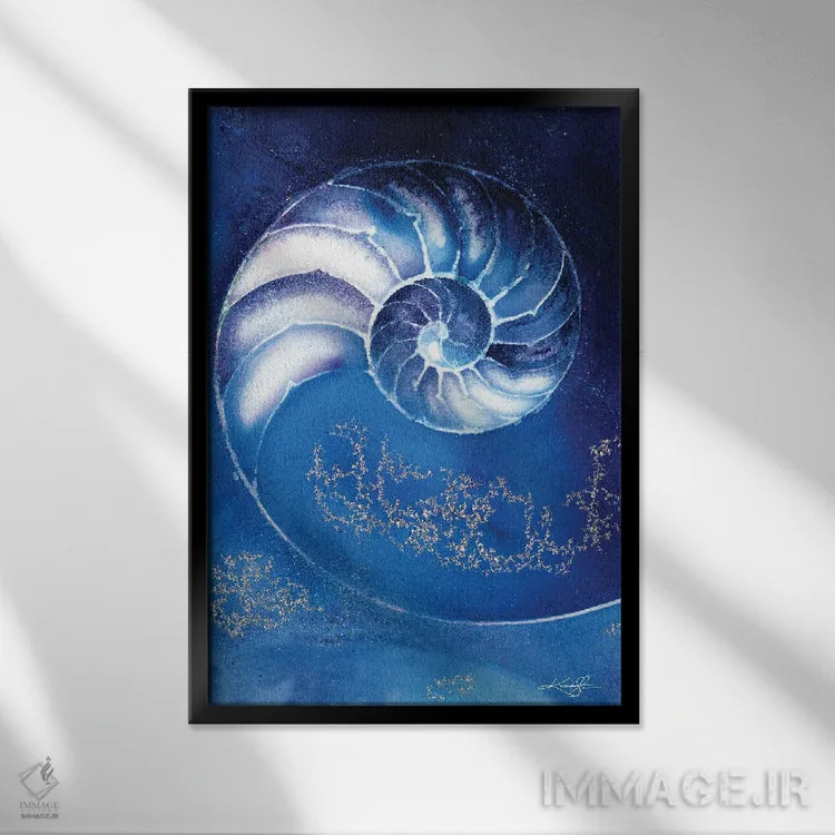 تابلو دکوراتیو صدف ناتیلوس IIIA اثر کتی مورتون استنیون - نمای قابدار مشکی