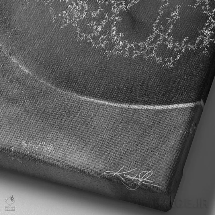 تابلو دکوراتیو صدف ناتیلوس IIIB اثر کتی مورتون استنیون - نمای نزدیک بافت بوم