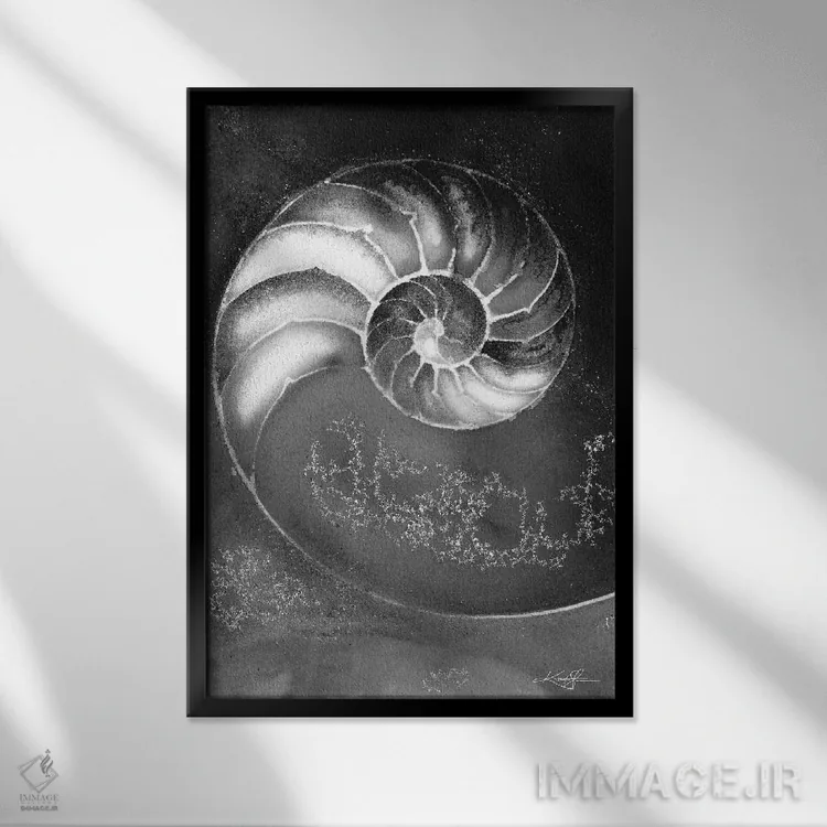 تابلو دکوراتیو صدف ناتیلوس IIIB اثر کتی مورتون استنیون - نمای قابدار مشکی