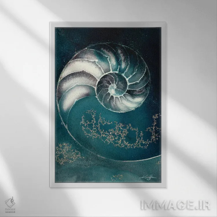 تابلو دکوراتیو صدف ناتیلوس IIIC اثر کتی مورتون استنیون - نمای قابدار سفید