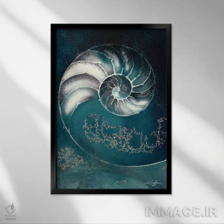 تابلو دکوراتیو صدف ناتیلوس IIIC اثر کتی مورتون استنیون - نمای قابدار مشکی