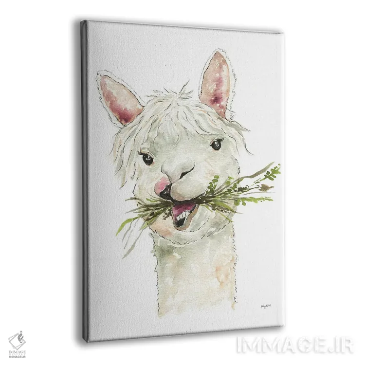 تابلو دکوراتیو لاما اثر کلسی مک نت - نمای پرسپکتیو محصول