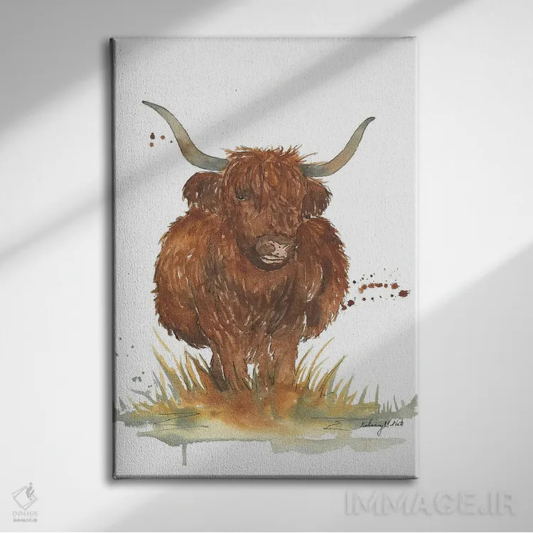تابلو دکوراتیو گاو کوهستانی اثر کلسی مک نت - نمای روبهرو روی دیوار