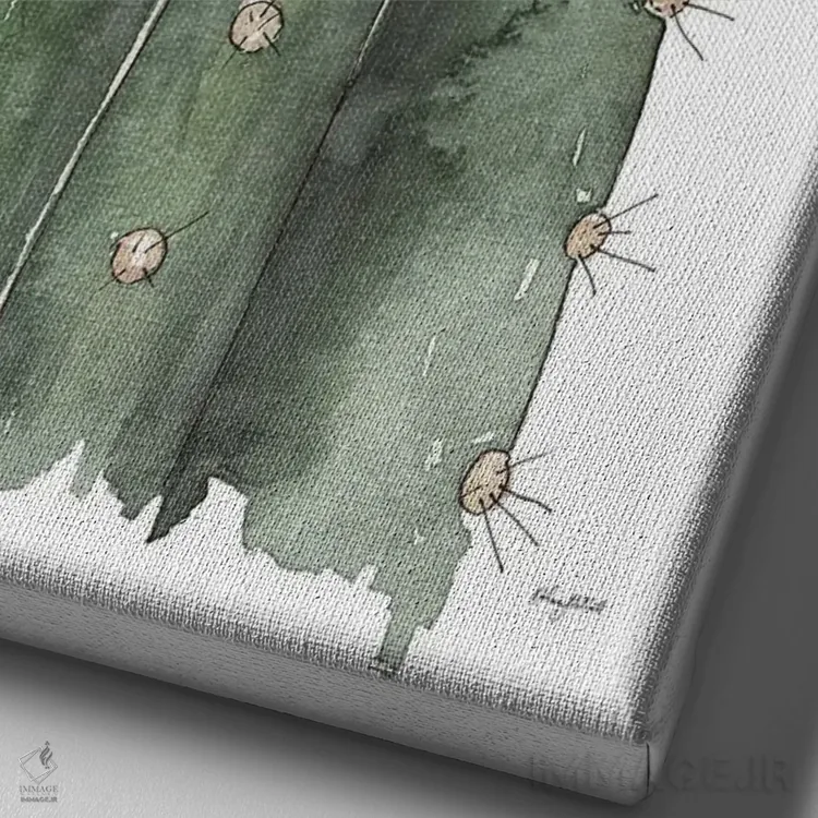 تابلو مینیمال کاکتوس شکوفه دار اثر کلسی مک نت - نمای نزدیک بافت بوم