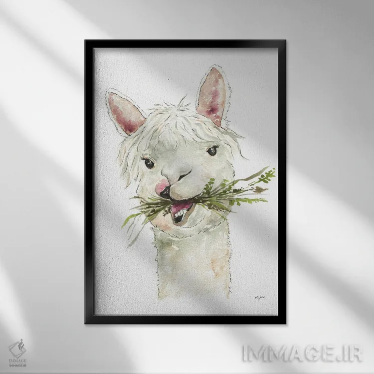 تابلو دکوراتیو لاما اثر کلسی مک نت - نمای قابدار مشکی