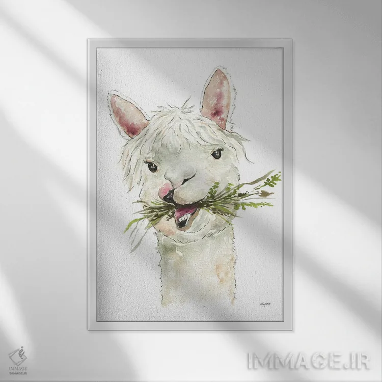 تابلو دکوراتیو لاما اثر کلسی مک نت - نمای قابدار سفید